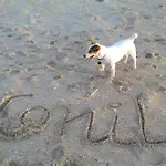Corazon De Conil *