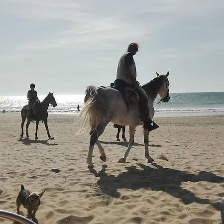 아파트 Corazon De Conil 콘일데라프론테라